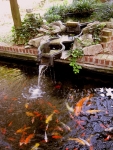 Patio ponds