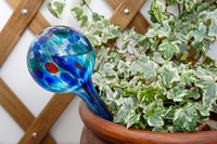 Are watering globes good for your houseplants?