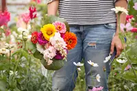 Grow your own flower bouquets