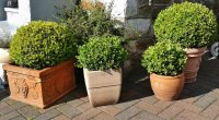 Give your containers a pre-winter once-over