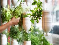 Grow something different: create your own window farm!