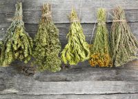 How to dry herbs for winter