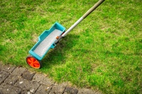 How to fertilise your lawn in 4 steps