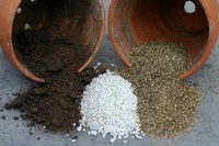 Vermiculite or perlite: which to choose?