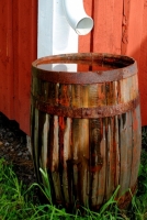 Watering can wisdom